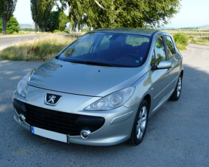 Peugeot - 307 - HDI | 2013. jún. 23.